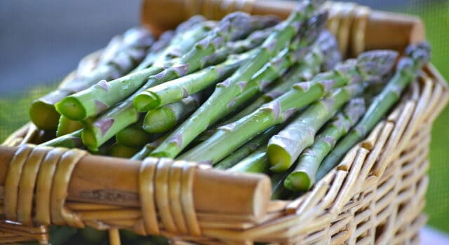 Growing Certified Organic Asparagus