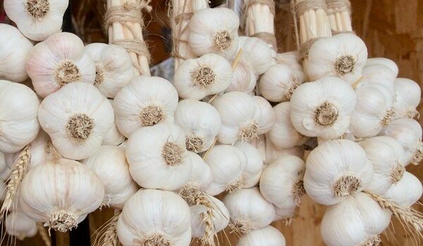 Are You Thinking of Growing Garlic?￼