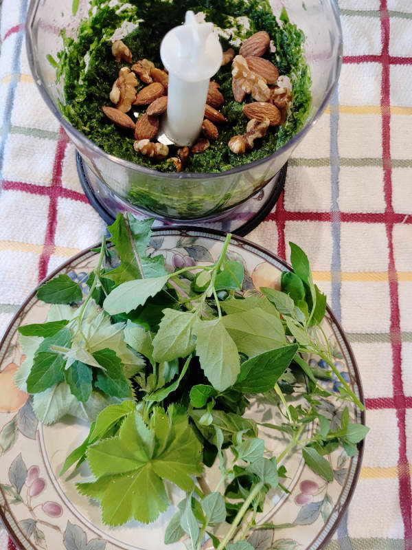 Loose herbs and weeds on a plate, with ingredients in a blender in the background